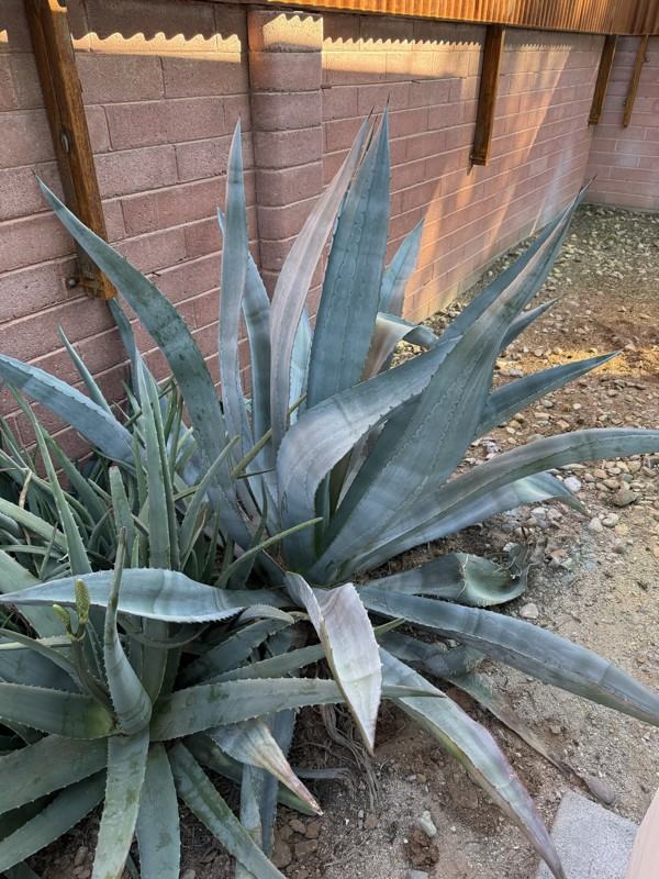 5564 E Camden St #B - Photo 3 of 14