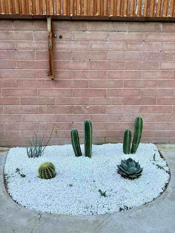 5564 E Camden St #B - Photo 4 of 14