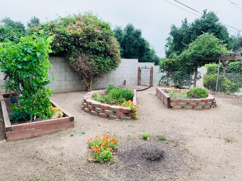 254 N Canyon Blvd - Photo 7 of 9