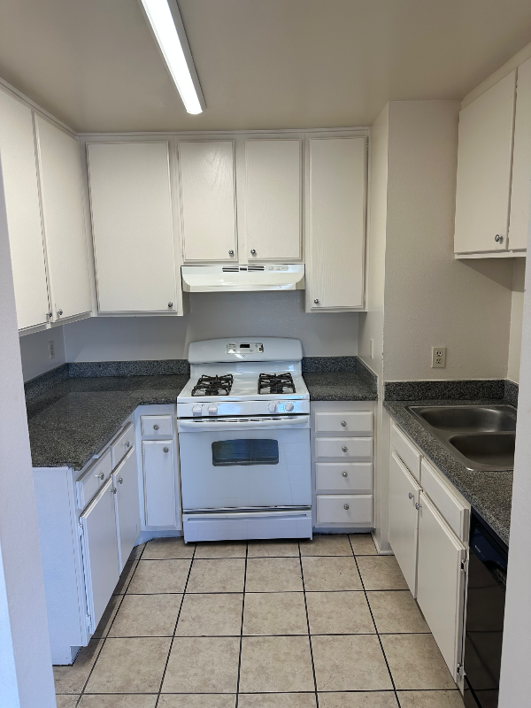 919 E Windsor Rd #6 - Photo 5 of 20