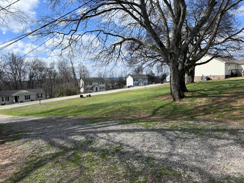 1524 Richmond Rd #A - Photo 6 of 19