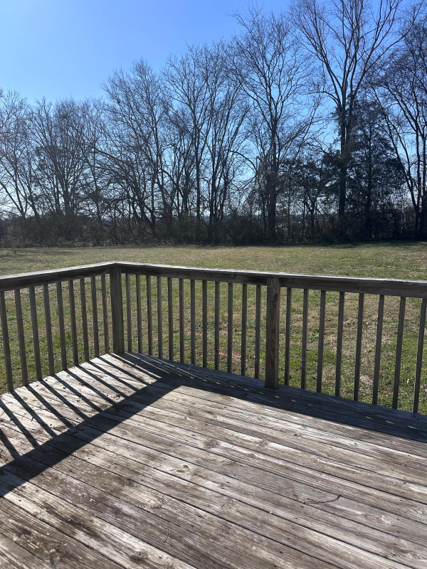 1535 Richmond Rd #B - Photo 7 of 17