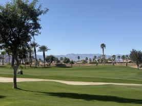 43387 Saint Andrews Dr #43387 - Photo 1 of 1