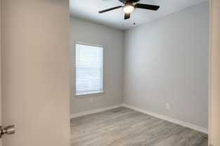 9751 Black Gum #9751 - Photo 1 of 1