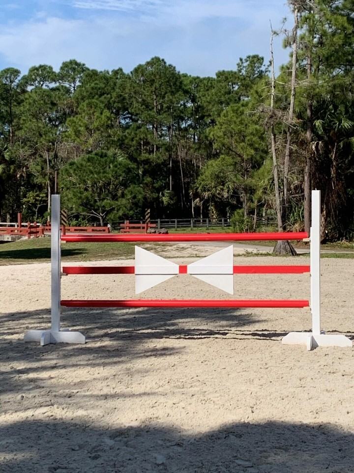 1711 Stallion Dr #1711 - Photo 3 of 23