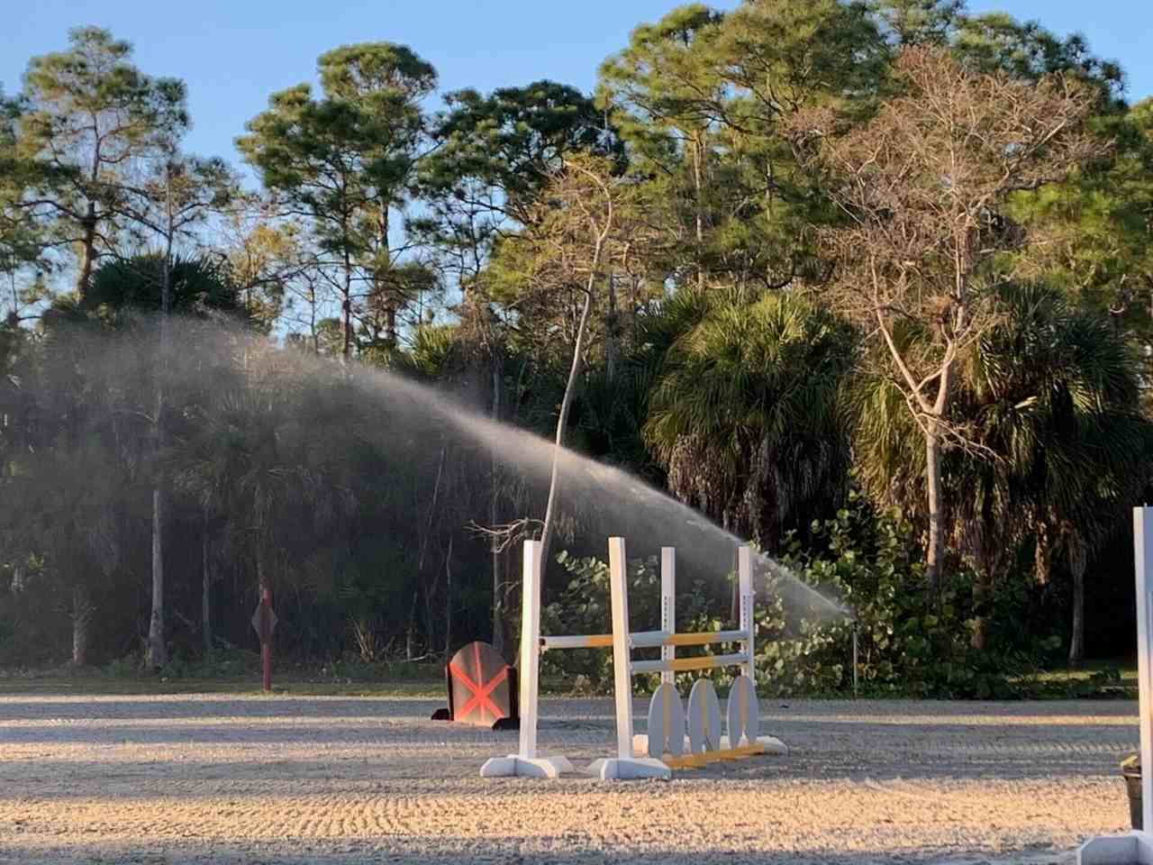 1711 Stallion Dr #1711 - Photo 5 of 23