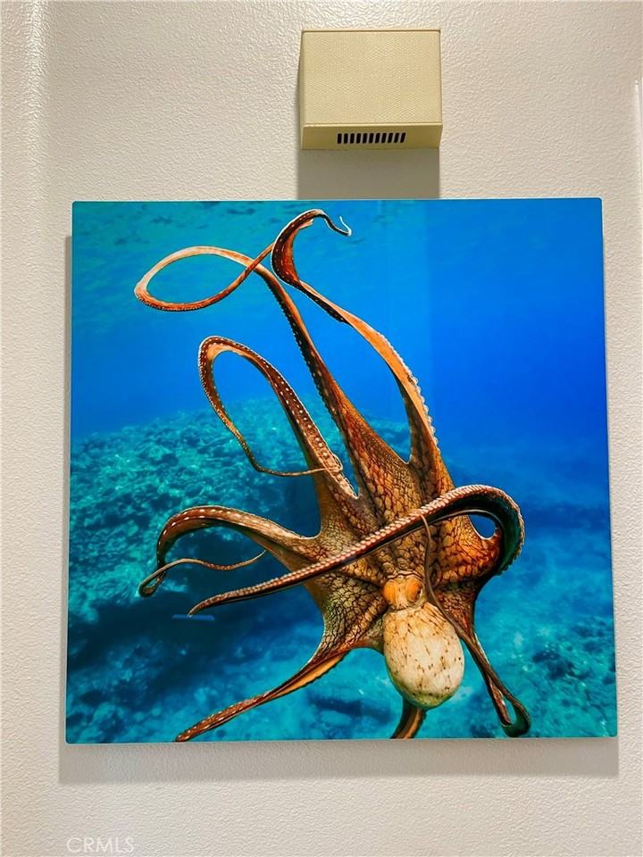 7543 Quiet Cove Cir #7543 - Photo 3 of 50