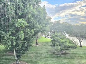 2305 Lucaya Ln - Photo 1 of 1