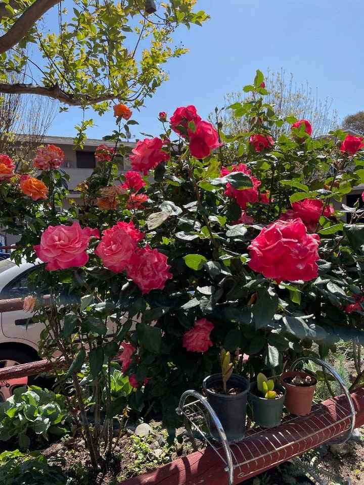 3579 Agate Dr #3579-11 - Photo 6 of 37