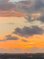 featured image of 345 Bayshore Blvd