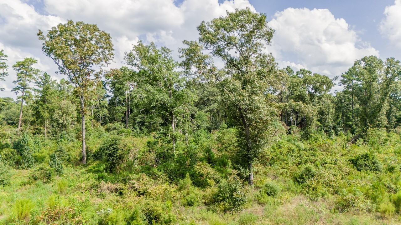 17171 E Fm 1097 Rd #17171