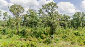 17171 E Fm 1097 Rd #17171 - Photo 1 of 1