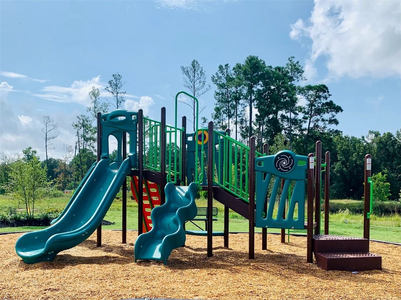 4931 Giant Sequoia Way #4931 - Photo 3 of 16