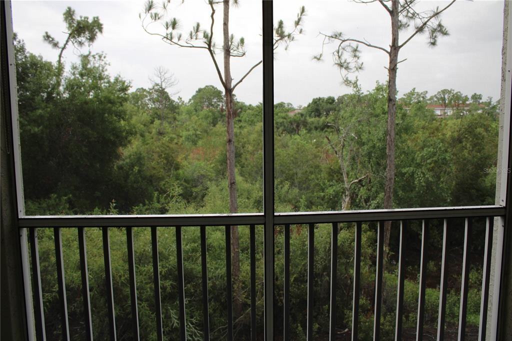 5711 Bentgrass Dr #5711-19203 - Photo 4 of 37