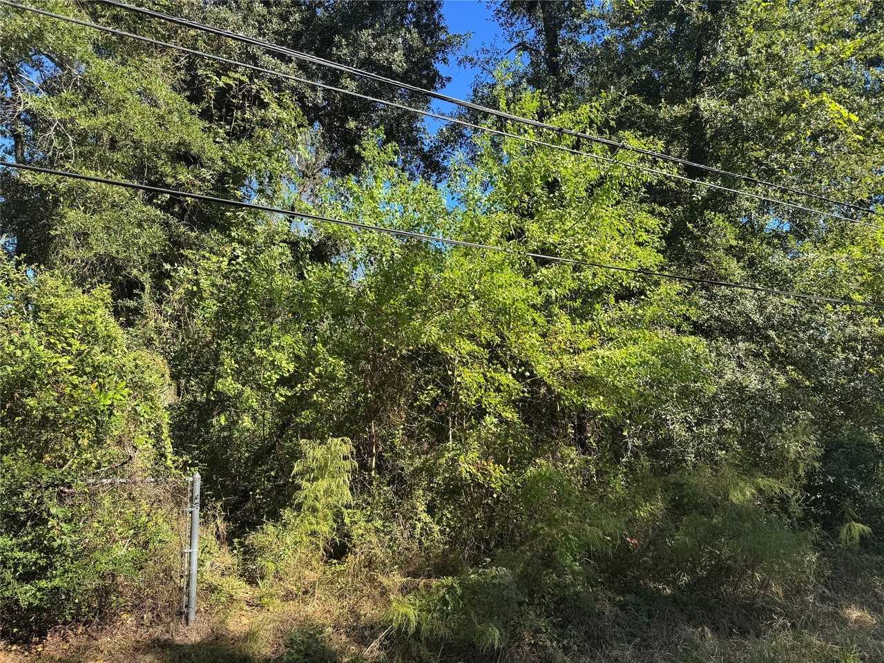 9184 Oak Arbor Dr #9184 - Photo 2 of 6