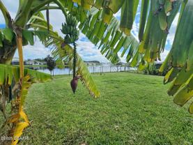 915 Noble New Smyrna Beach #915 - Photo 1 of 1