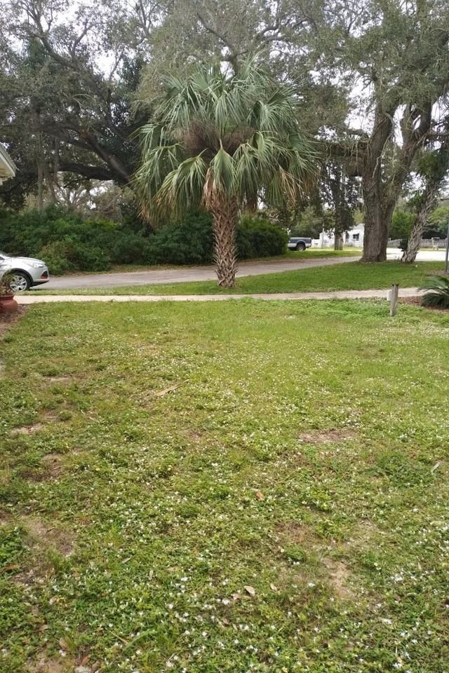 948 Louisiana Ave #948 - Photo 5 of 43