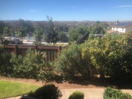 featured image of 5541 Cribari Cir #5541