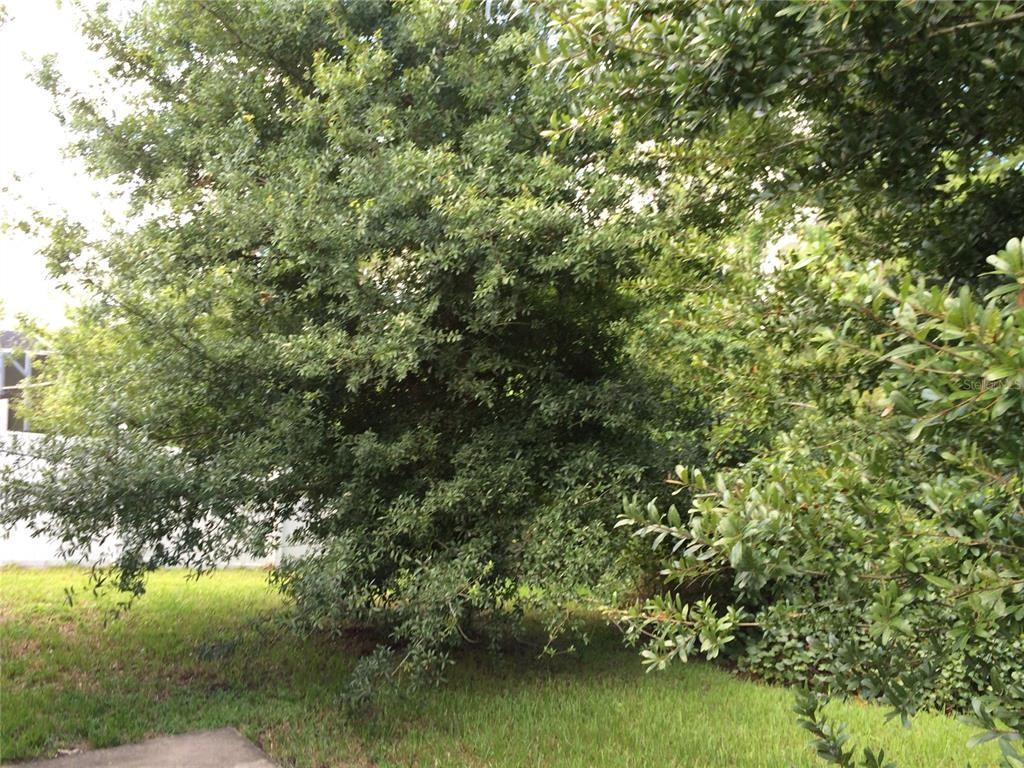 9332 Monterey Bay Dr #9332 - Photo 3 of 20