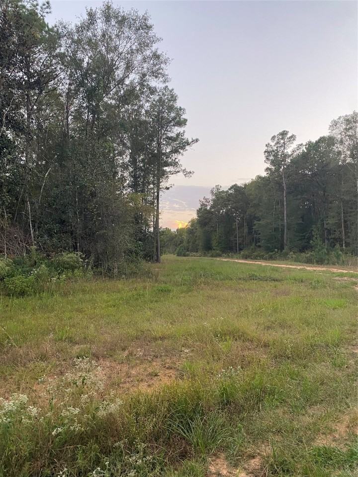 983 983 County Road #983-4350 - Photo 3 of 18