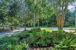 featured image of 3231 Chapel Creek Way #3231