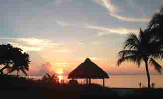 featured image of 113 Costa Bravo Dr