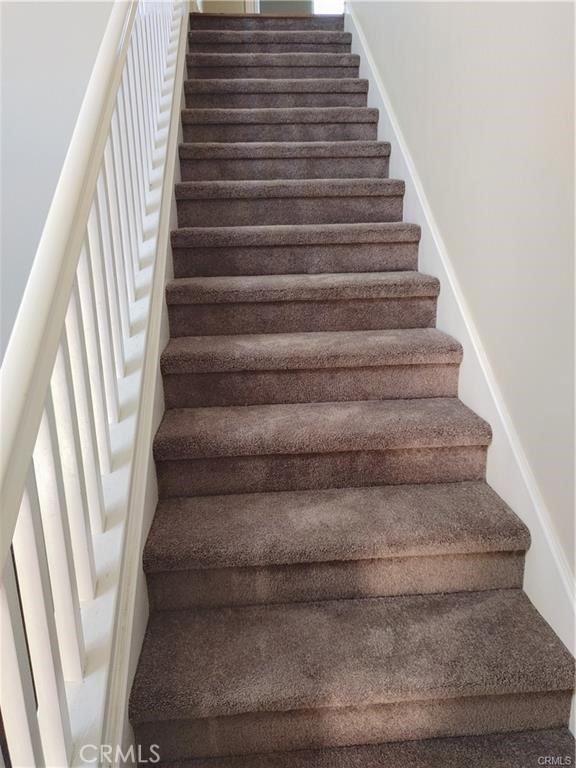 47 Straw Flower #47 - Photo 4 of 16