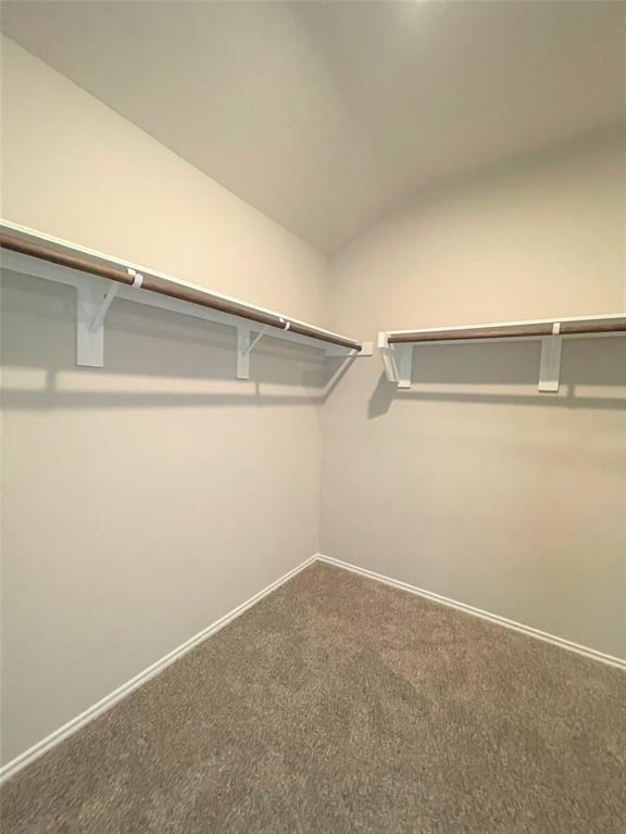 12118 Black Sage Ct #12118 - Photo 7 of 22