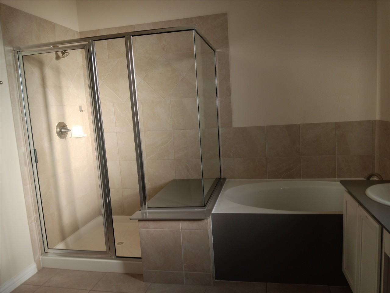 24722 Lake Basin Ct #24722 - Photo 5 of 29