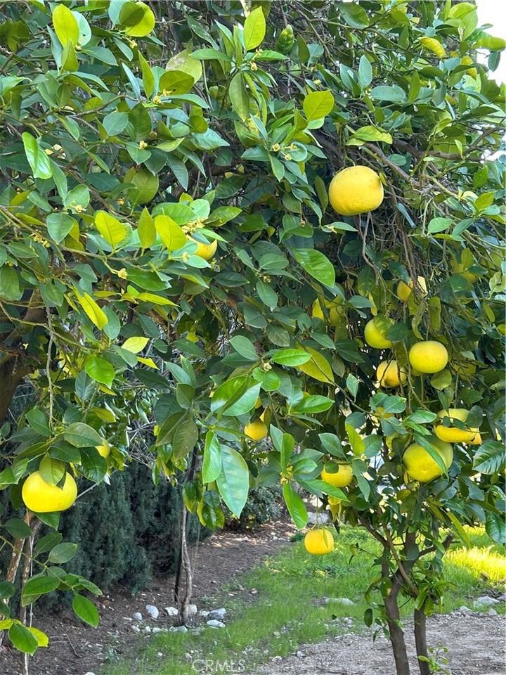 9241 Pali Ave #9241 - Photo 6 of 19