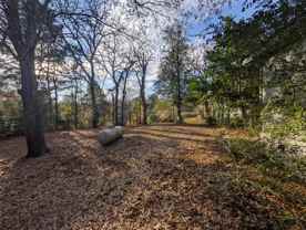 6480 County Road 4508 #6480 - Photo 1 of 1