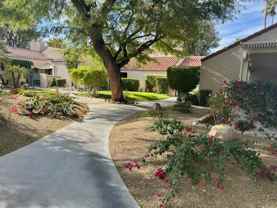 310 Forest Hills Dr #310 - Photo 1 of 1