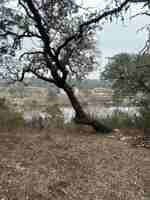 featured image of 2709 Long Bow Trl #2709