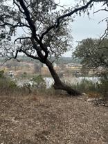 2709 Long Bow Trl #2709 - Photo 1 of 1