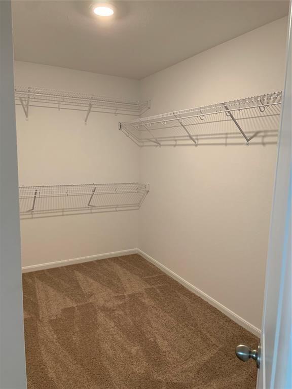 4011 Trail De Paris New Braunfels Tx 78132 #4011 - Photo 4 of 19