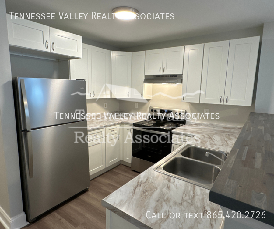 4200 Mccalla Ave #2 - Photo 3 of 14