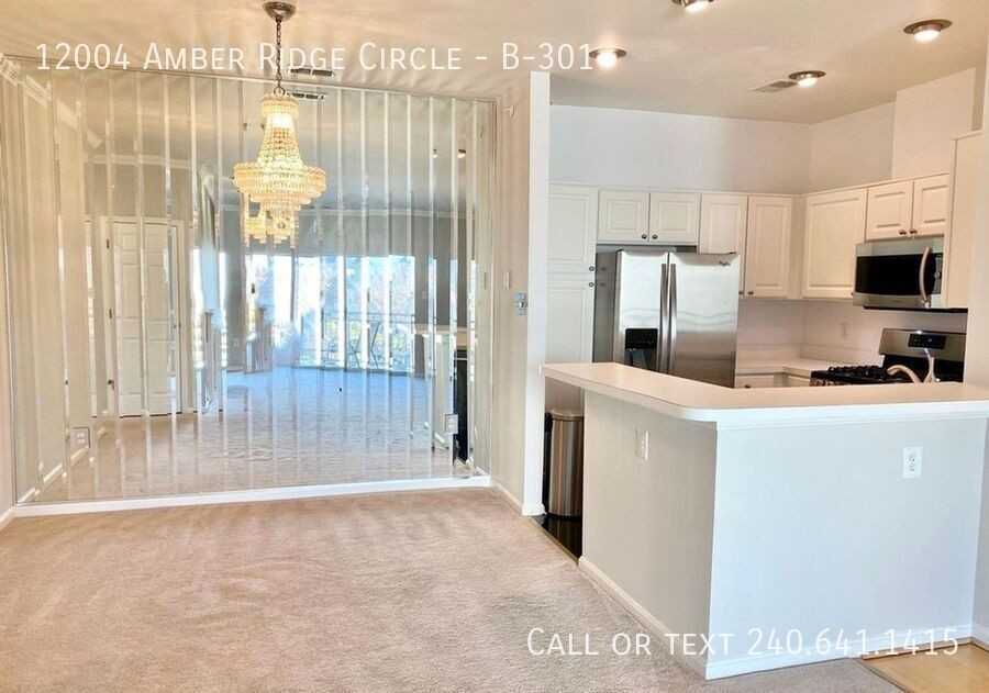 12004 Amber Ridge Cir #B301 - Photo 6 of 15