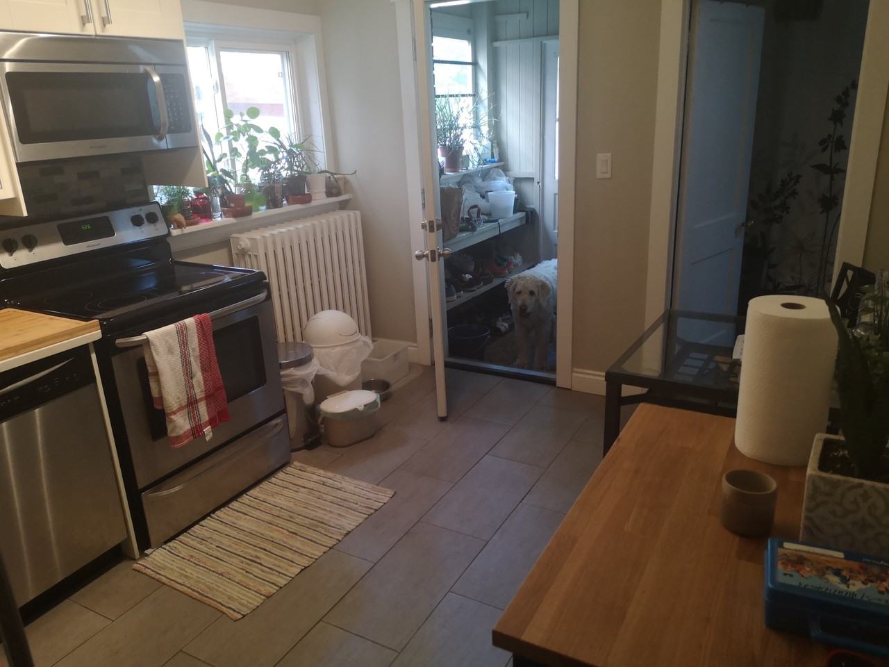 227 Sherman Ave S #1 - Photo 3 of 9