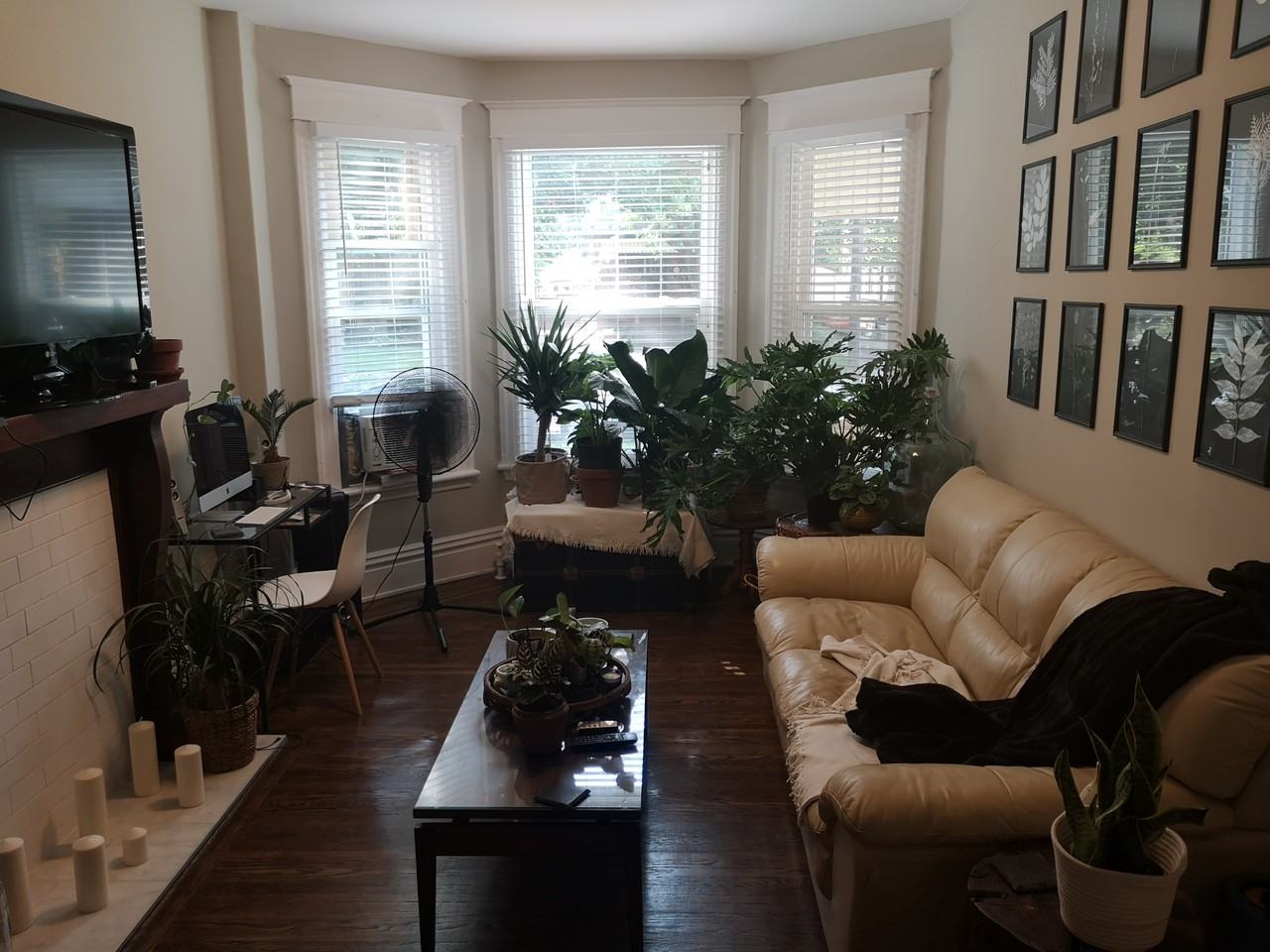 227 Sherman Ave S #1 - Photo 5 of 9