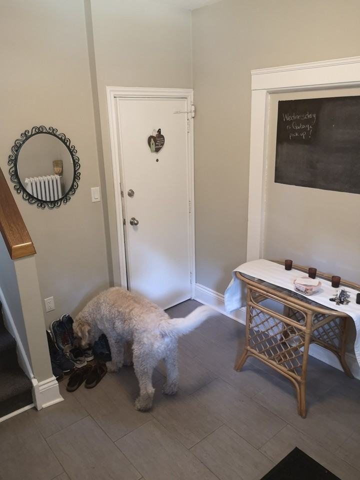 227 Sherman Ave S #1 - Photo 6 of 9