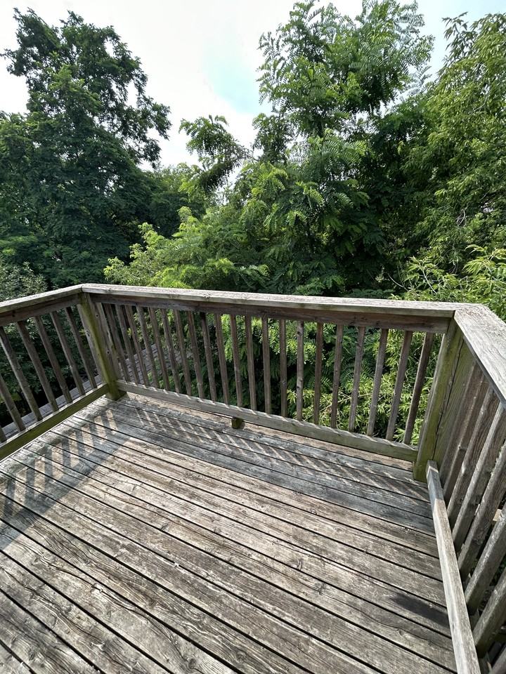 24 Locke St S #3 - Photo 3 of 9