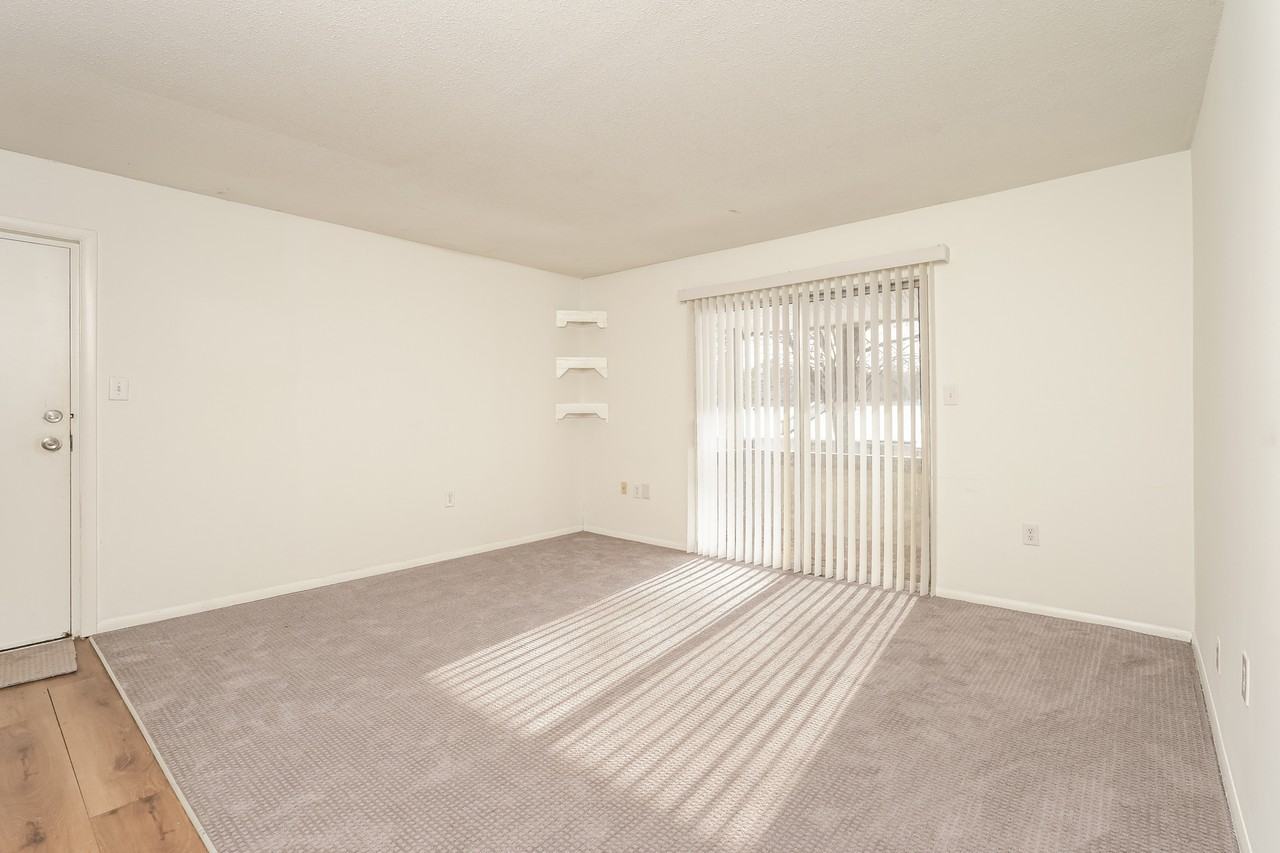 2205 Sunderland Rd #115D - Photo 4 of 10