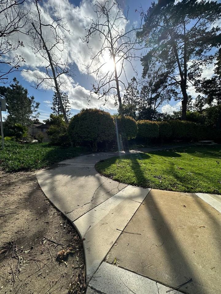 7775 Camino Glorita - Photo 2 of 35