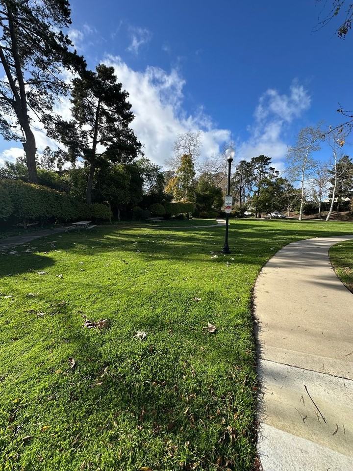 7775 Camino Glorita - Photo 3 of 35