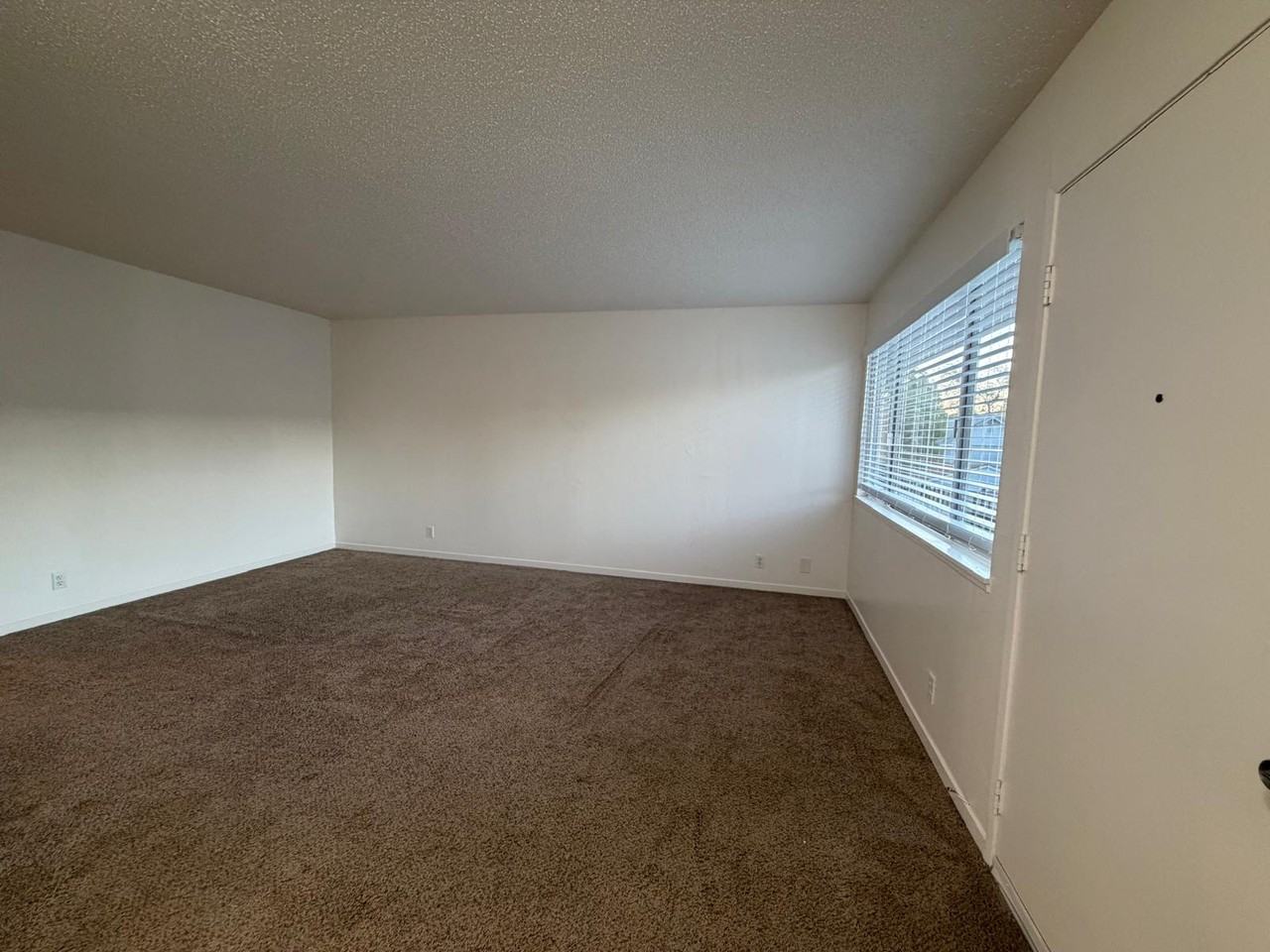 1644 Prince St #5 - Photo 3 of 13