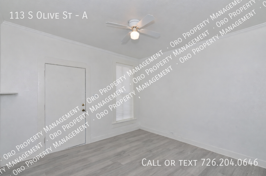 113 S Olive St #A - Photo 3 of 9