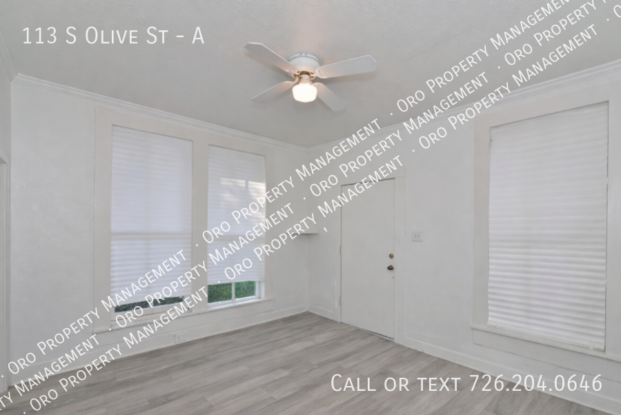 113 S Olive St #A - Photo 4 of 9