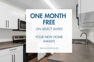 featured image of 280 Cypress St