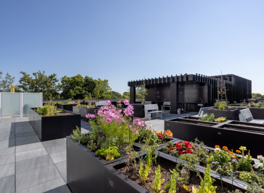 The George - Photo 4 of 25