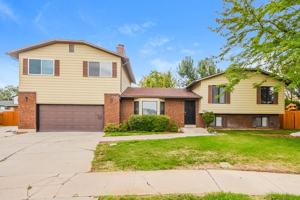 featured image of 1264 Wn